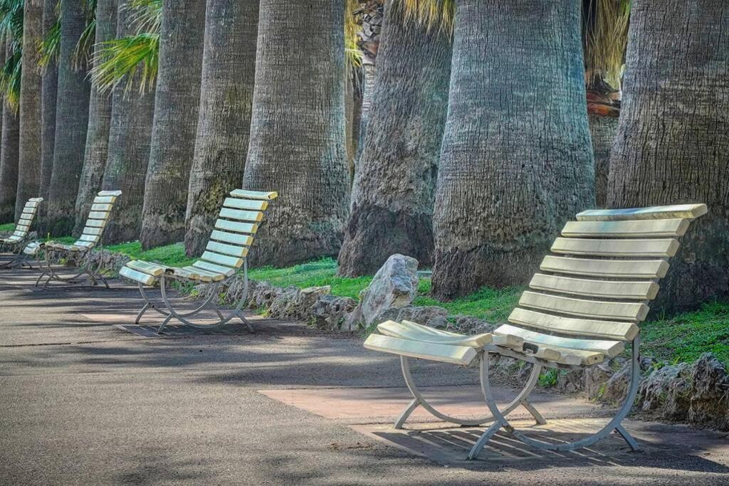 Le Palm - 100M Plage - Croisette - Verriere Cote D'Azur Appartement Cannes Buitenkant foto